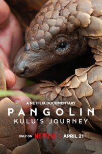 Pangolín: El viaje de Kulu